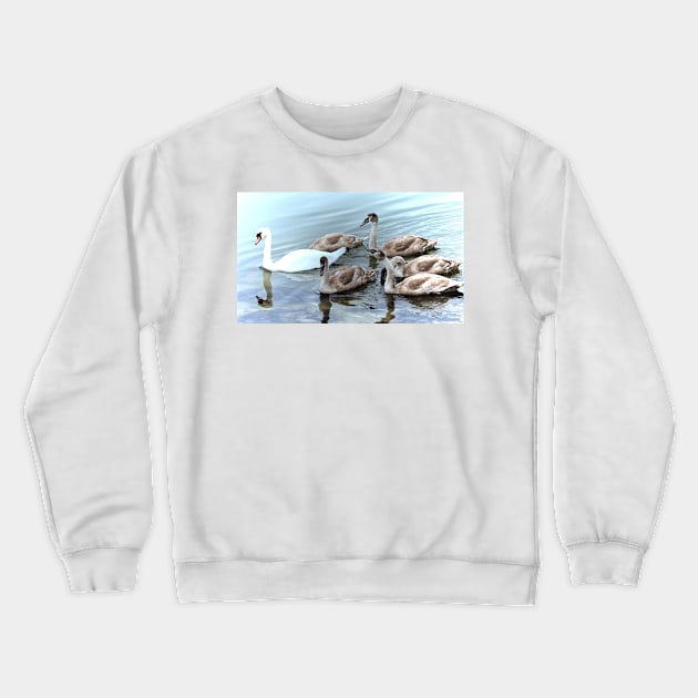 THE ROYAL BIRDS Crewneck Sweatshirt by dumbodancer